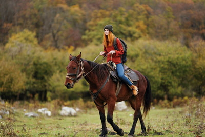 Horse on a field