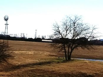 Bare trees on landscape against clear sky