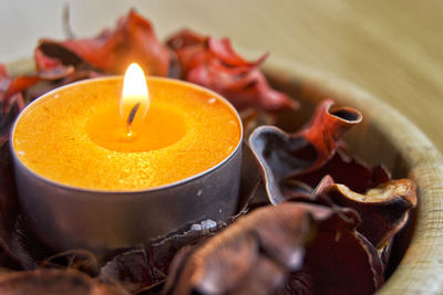 Close-up of burning tea light candle amidst dry flowers