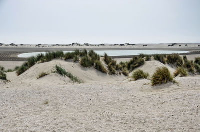 Scenic view of beach against clear sky