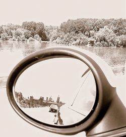 Reflection of trees in water