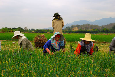 People sitting on grassy field