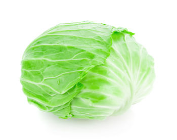 Close-up of green leaf against white background