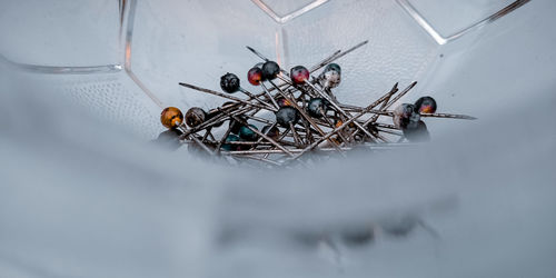 High angle view of stuffed toy on snow field