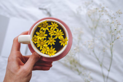 Close-up of hand holding yellow flower in pot