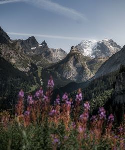 Scenic view of purple mountains against sky