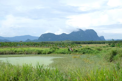 Scenic view of field by lake against sky