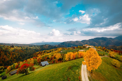 Aerial view of road and trees by mountain in autumn