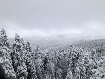 Scenic view of snow covered landscape against sky