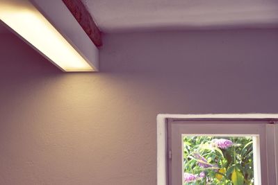 Close-up of potted plant on window of house