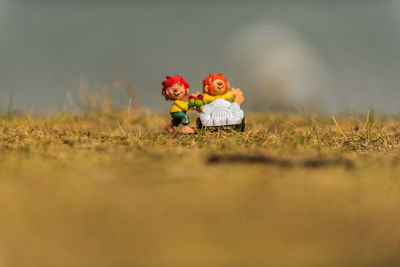 Close-up of stuffed toy on field