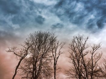 Low angle view of bare tree against cloudy sky