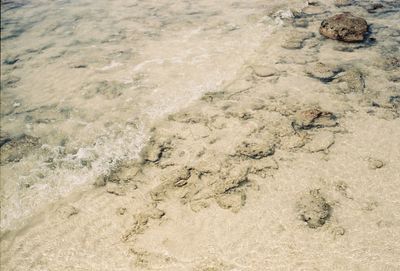 High angle view of sand on beach