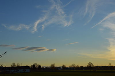 Low angle view of silhouette trees against sky
