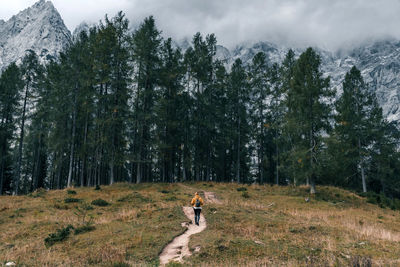 Female hiker on path leading to mysterious forest under misty mountains