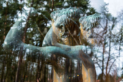 Close-up of giraffe in forest