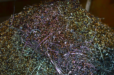 High angle view of dried plant