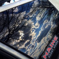 Low angle view of bare trees