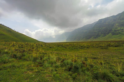 Scenic view of field against sky