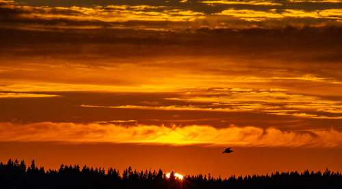 Scenic view of sunset sky