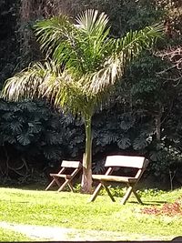 Empty chairs in park