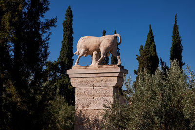 Low angle view of horse on field against sky