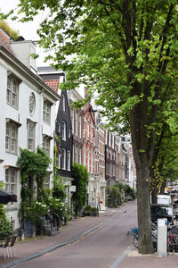 Road amidst trees and buildings in city