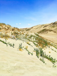 Scenic view of desert against sky
