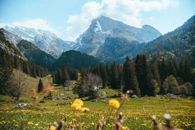 Scenic view of mountains against sky