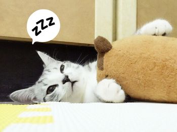 domestic animals