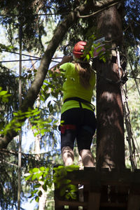 Rear view of man standing by tree trunk in forest