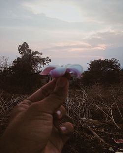 Close-up of hand holding tree against sky