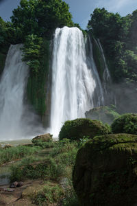Scenic view of waterfall in forest