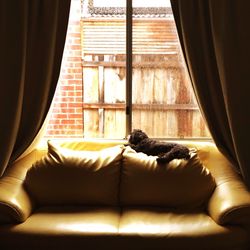 Close-up of stuffed toy on cushion of couch near window