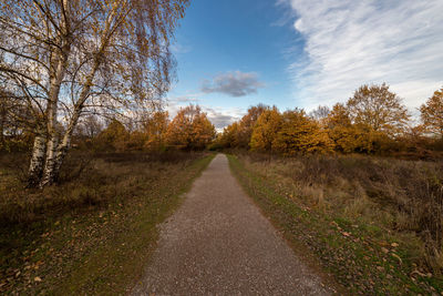 Road amidst trees against sky during autumn