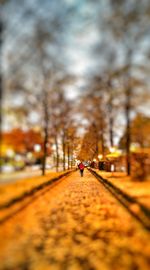 People walking on road in city