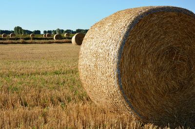 Bales of straw