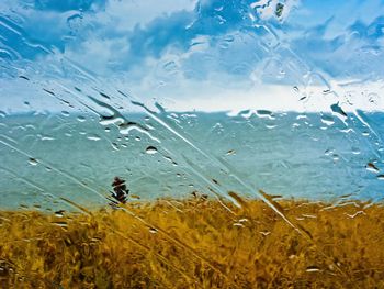 Close-up of water drops on window against sky
