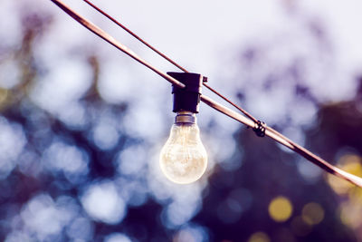 Low angle view of light bulb