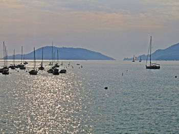 Boats in sea