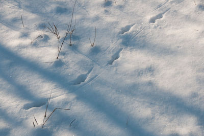 High angle view of snow on field