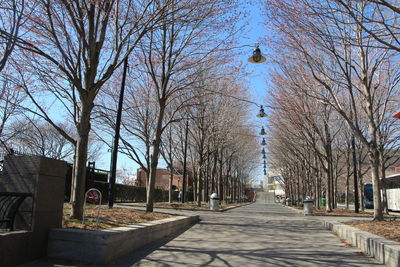 Empty road along trees