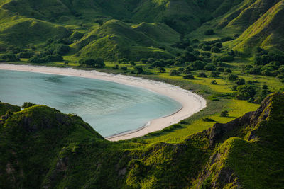 High angle view of sea and trees