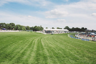 Scenic view of grass against sky