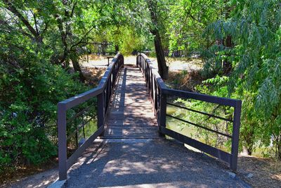 Empty footbridge along trees in forest