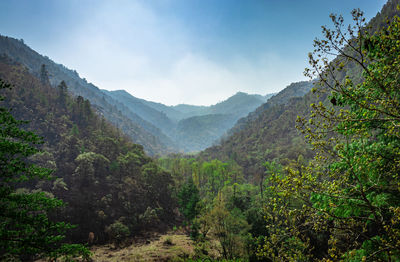 Mountain valley covered with dense forest and blue sky at morning from flat angle