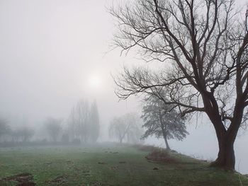 Bare trees on landscape against sky during winter