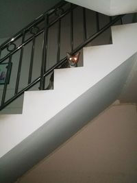 Low angle view of illuminated staircase in building