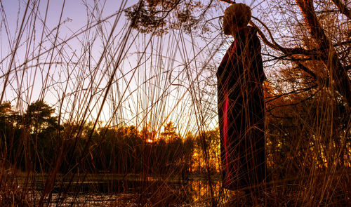 Low angle view of woman standing by trees against sky