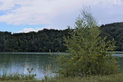 Scenic view of lake against sky